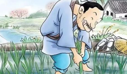 成语典故之拔苗助长，该典故的内容蕴含了什么哲学？