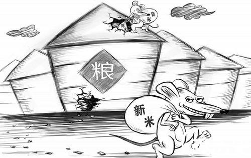 鼠窃狗盗的故事
