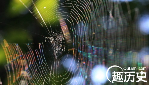 蛛丝马迹词源考：蛛丝马迹中的马指马还是别的？