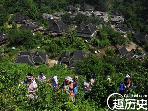 基诺族喜欢吃什么？基诺族的饮食习惯