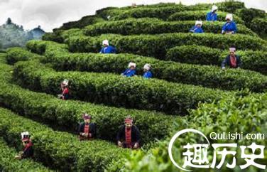 瑶族文化 瑶族的茶有着什么样的民族文化