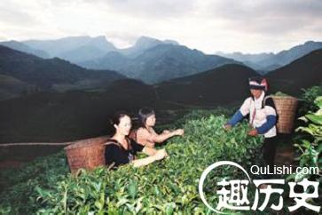 瑶族文化 瑶族的茶有着什么样的民族文化