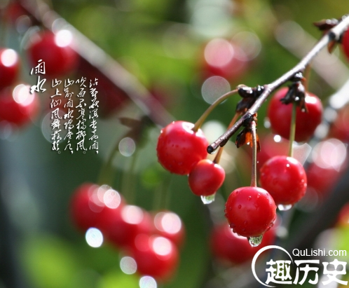 雨水节气吃什么 雨水节气饮食禁忌
