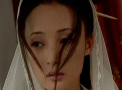 梁羽生武侠小说《白发魔女传》的女主人公练霓裳简介