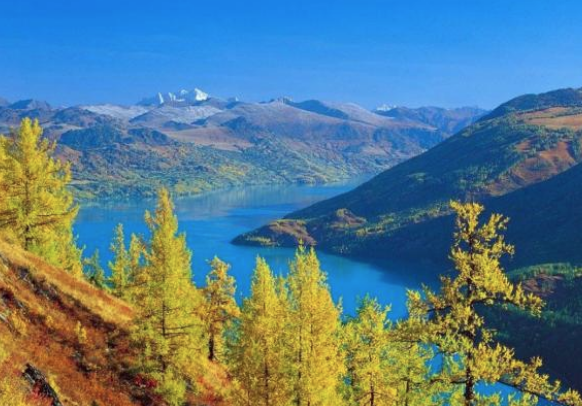 明朝最有个性的辞职诗,出自与诸葛亮并称的刘伯温之手