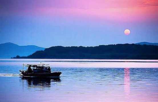 韦庄：韦应物的第四代孙，也是唐代花间派著名词人