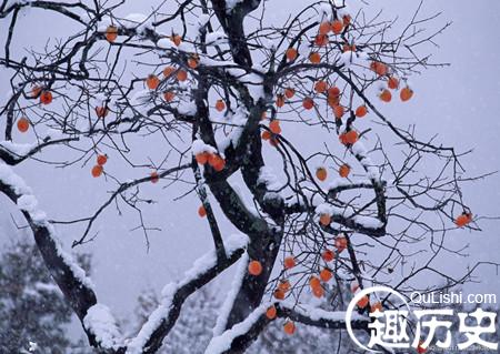 2016年最新描写冬天下雪的19句优美诗句