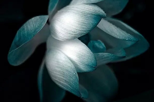 盘点：意境最美的十二首中国古诗词