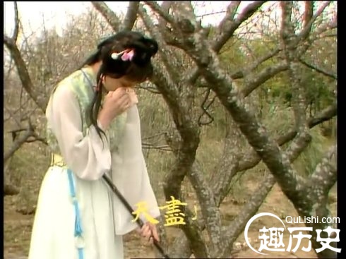 盘点《红楼梦》里的唯美诗词