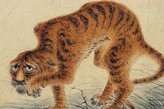 华岩画了一只不一样的老虎！一幅病态虎为何能成为传世名画？