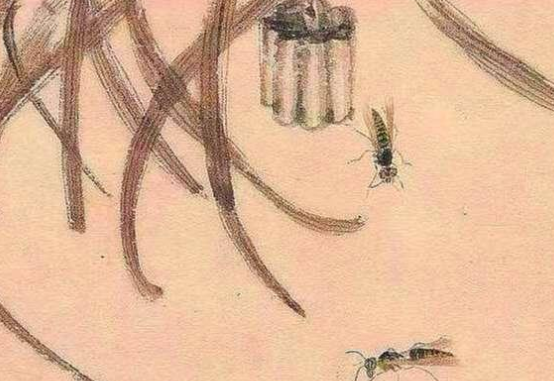 华岩画了一只不一样的老虎！一幅病态虎为何能成为传世名画？