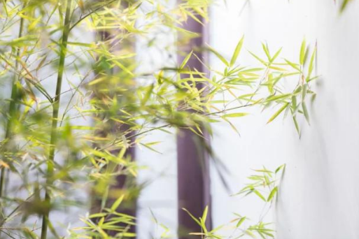 辛弃疾为什么被称为“词中之龙”?25首诗词中见真情!