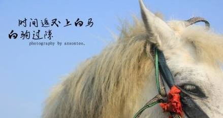白驹过隙,忽然而已的典故出自哪里?它是什么意思?