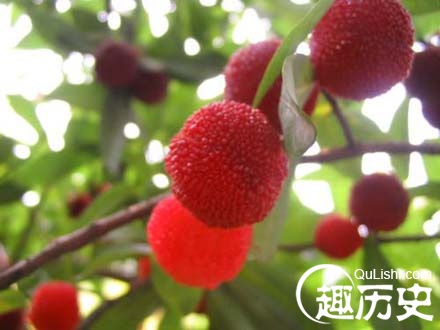 望梅止渴的典故 成语望梅止渴的主人公是谁?